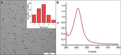 Implications of silver nanoparticles for H. pylori infection: modulation of CagA function and signaling